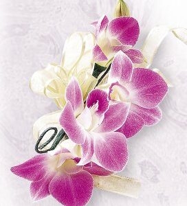 Orchid Corsage