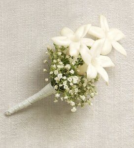 Snow White Stephanotis Buttonhole