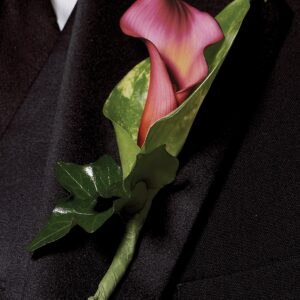 Deep Pink Calla Lily Buttonhole
