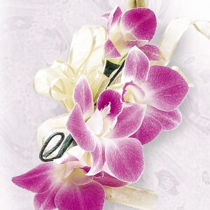 Deep Purple Orchid Corsage