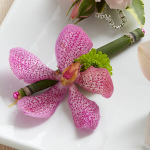 Pink Mokara Orchid Boutonniere