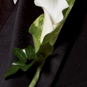 Chic White Calla Lily Buttonhole