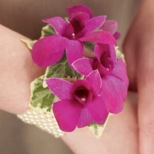 Rich Purple Dendrobium Orchid Wrist Corsage