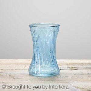 Blue Swirl Nigella